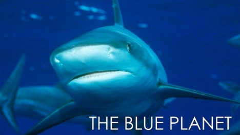 THE BLUE PLANET: EPISODE 06: CORAL SEAS